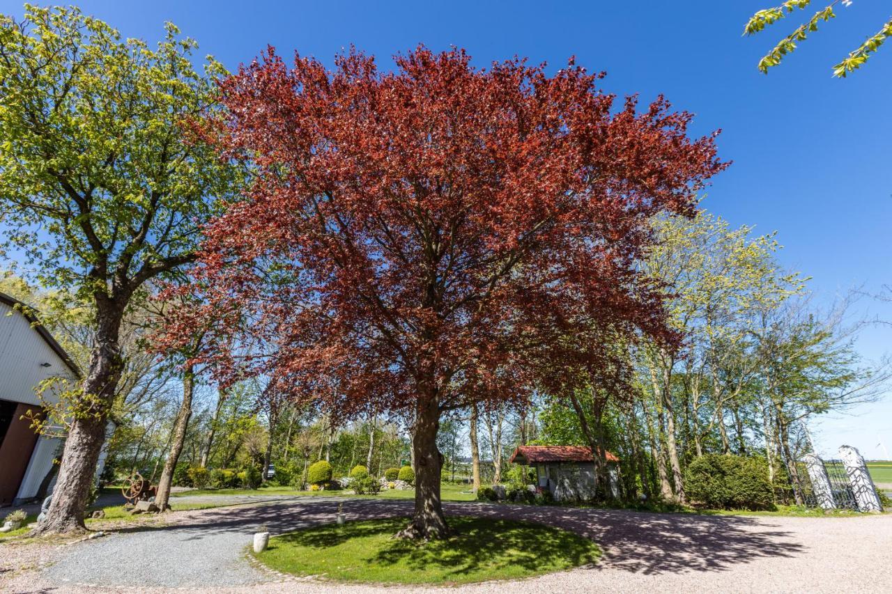 Denkerhof Ferienwohnung Sodalith Reußenköge Exteriör bild